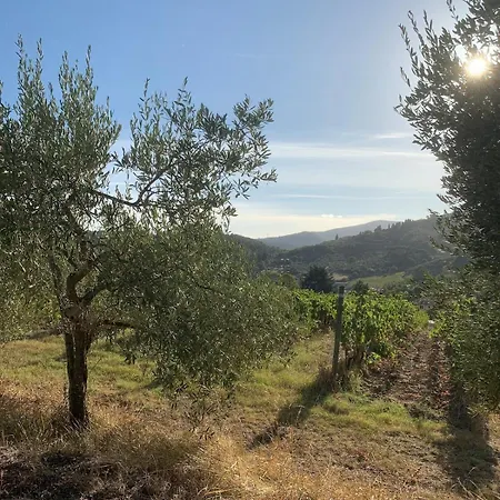 Ferienhaus In Il Castellaccio *