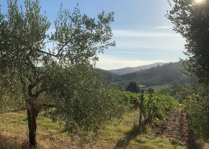 بيت للعطل In Il Castellaccio *